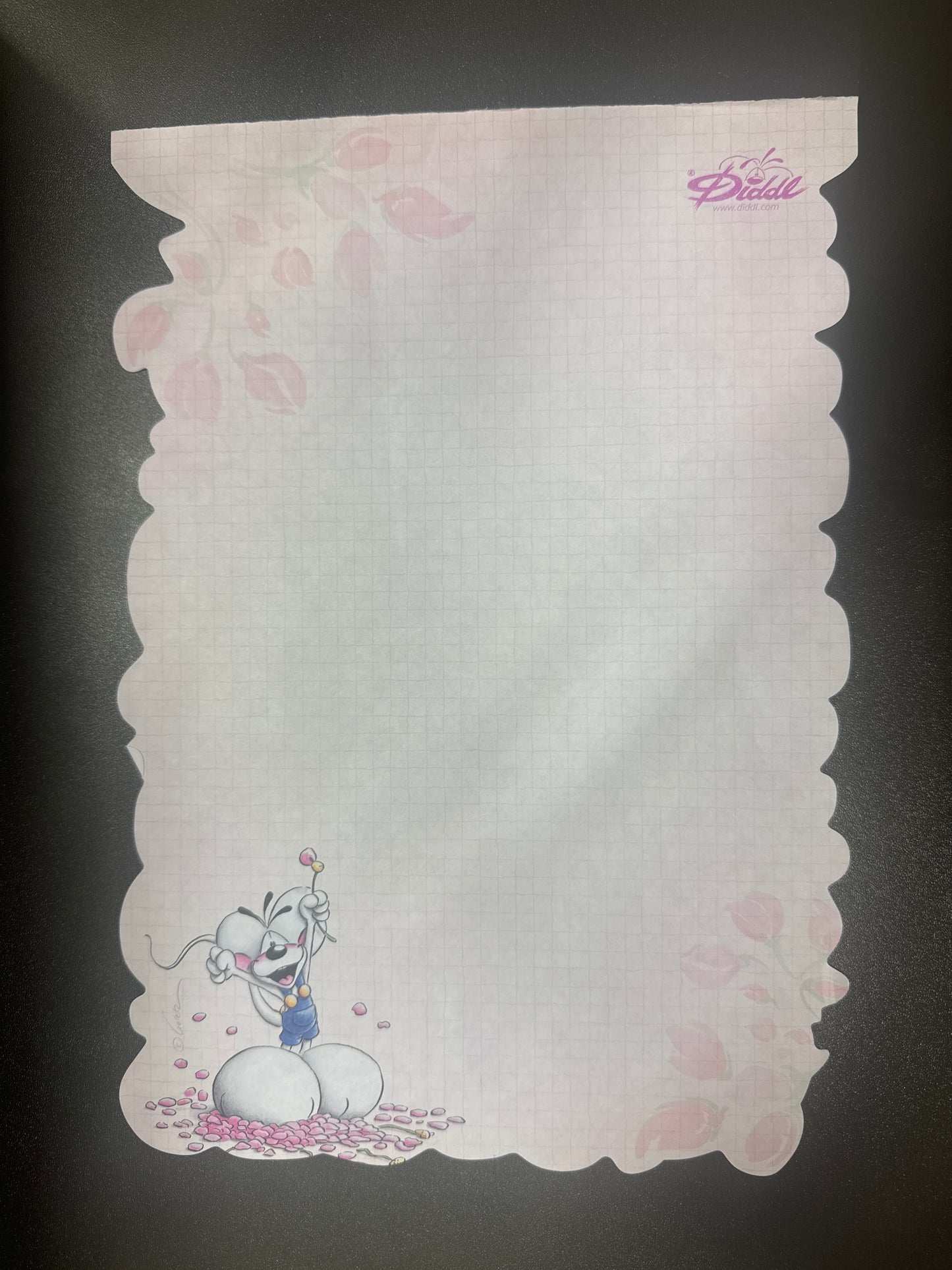 Diddl A4 Nr.96