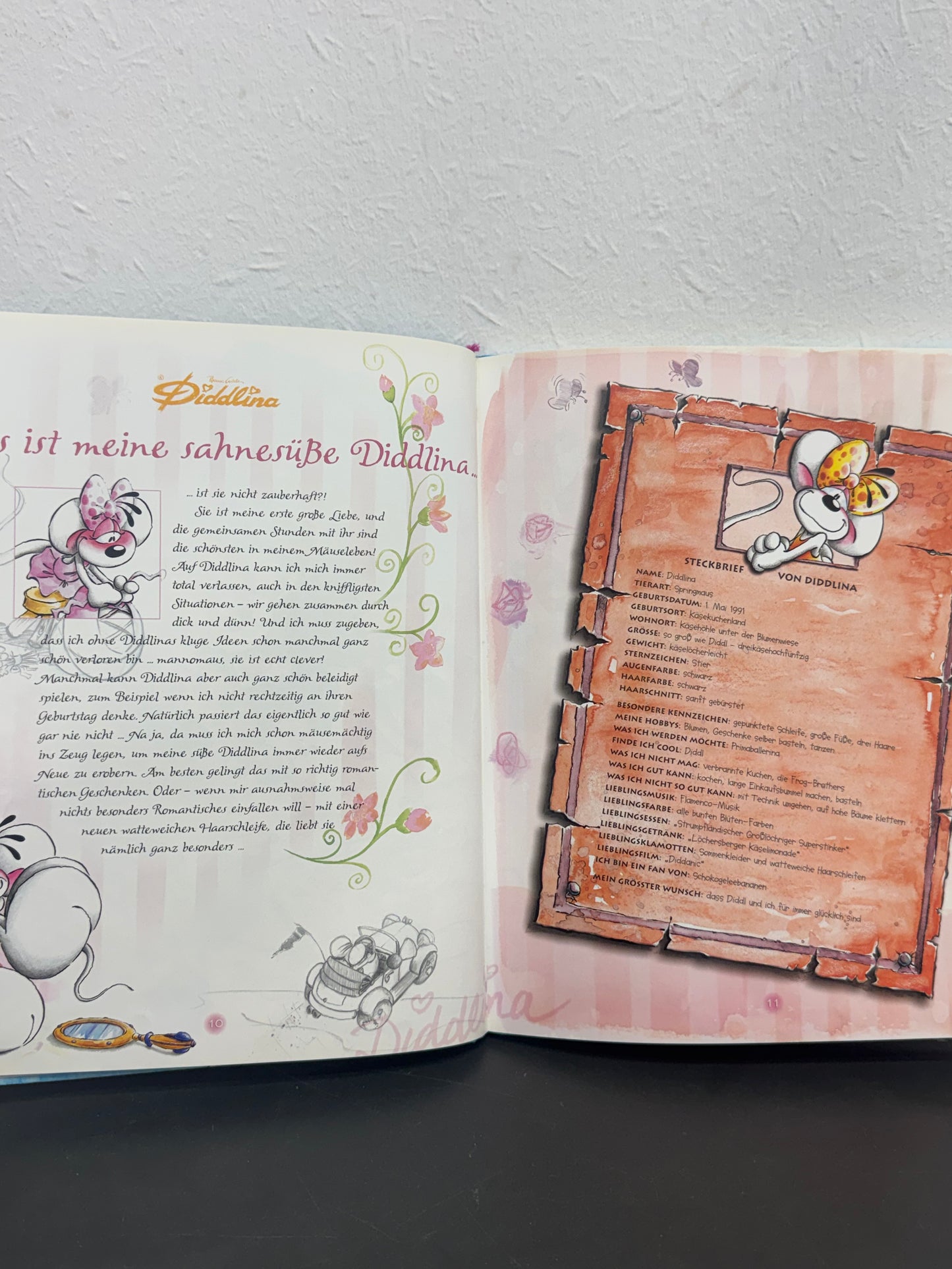Diddl das große Buch von Diddl und seinen Freunden