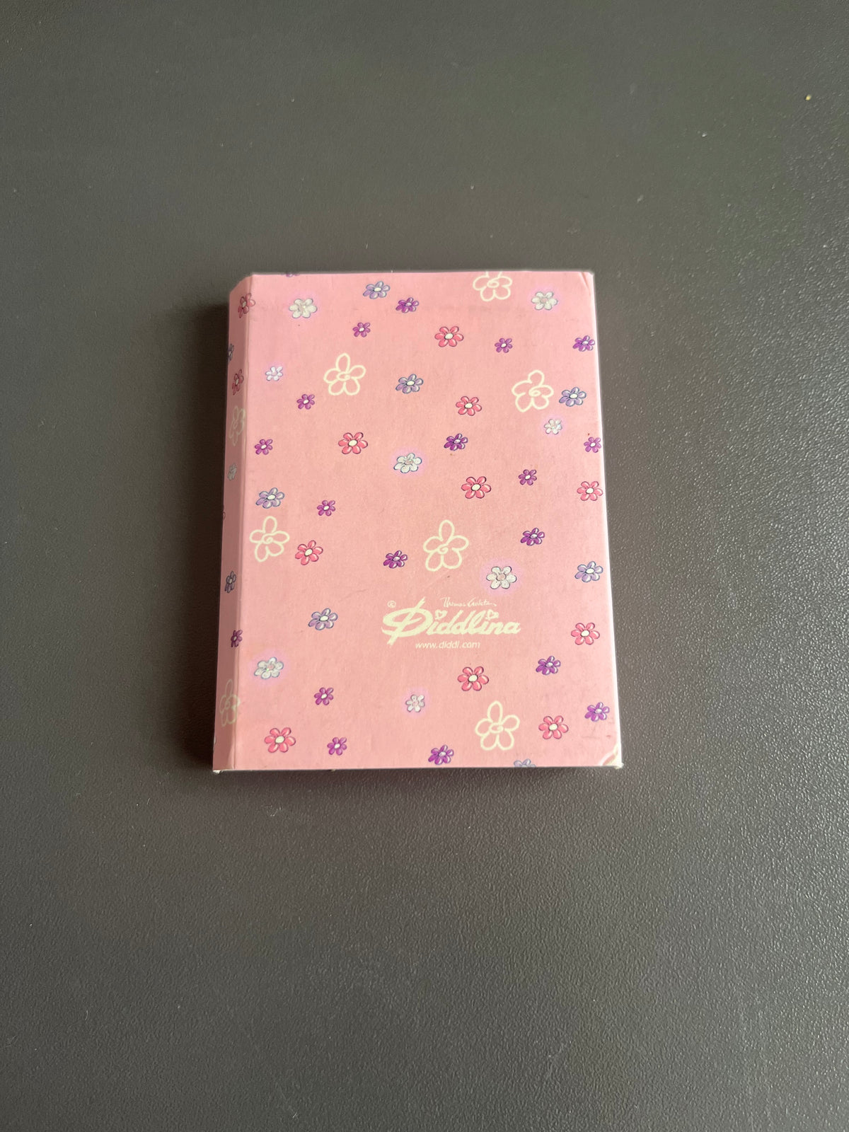 Diddlina Ballarina Notizblock Mini voll
