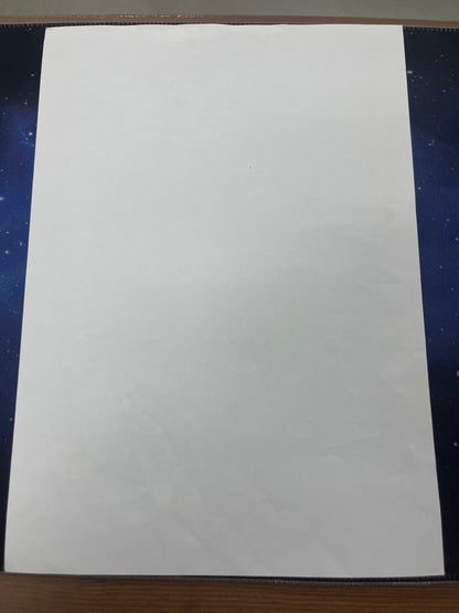 A4 Diddl Sonder Briefpapier Nr.31