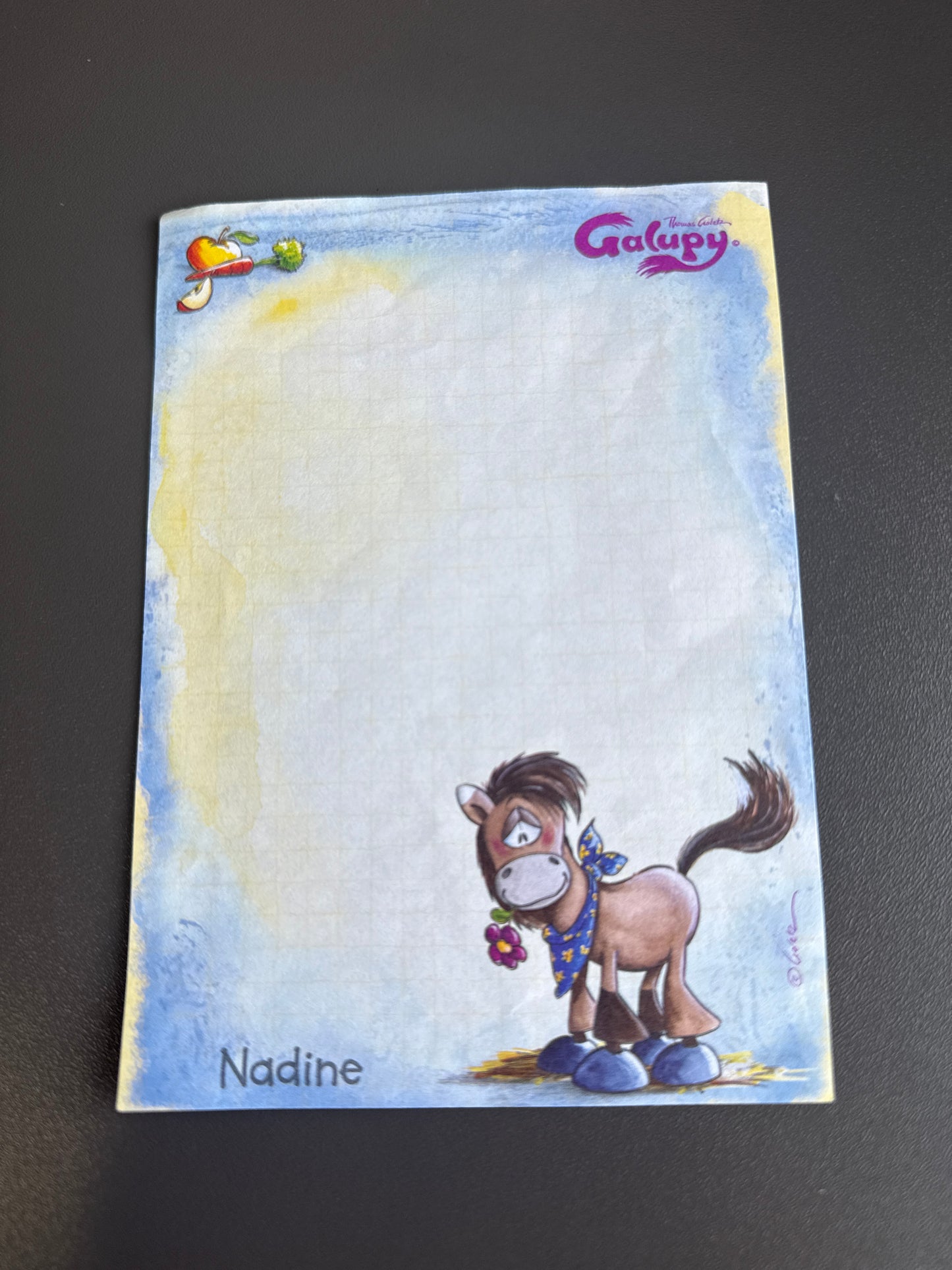 Galupy A6 Nr. 6