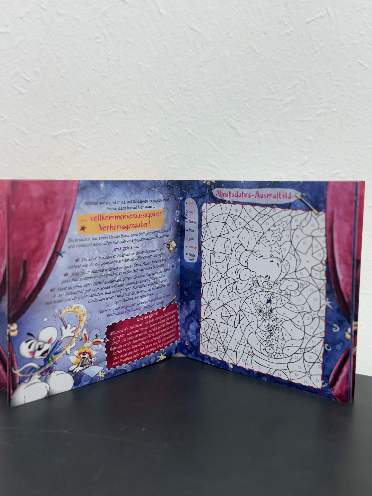 Diddls magische Zauberwelt Minibuch