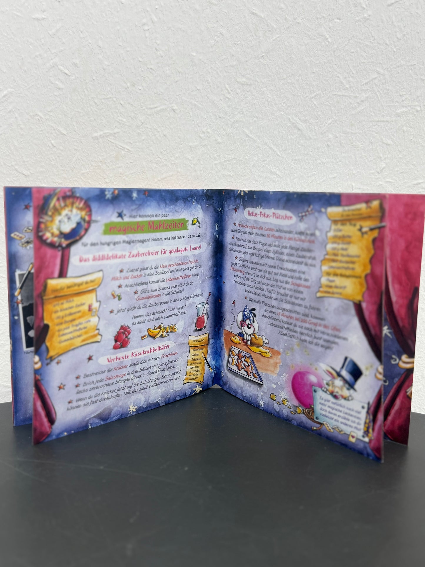 Diddls magische Zauberwelt Minibuch